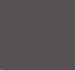 PPC Universal Pigment